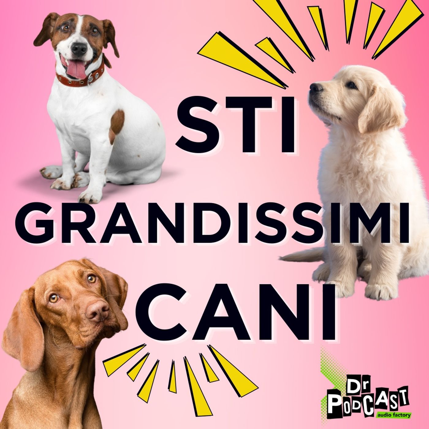 Sti Grandissimi Cani