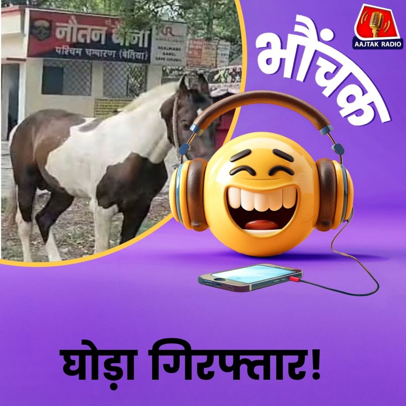 बिहार पुलिस ने शराब तस्करी मामले में घोड़े के हिरासत में लिया । भौंचक