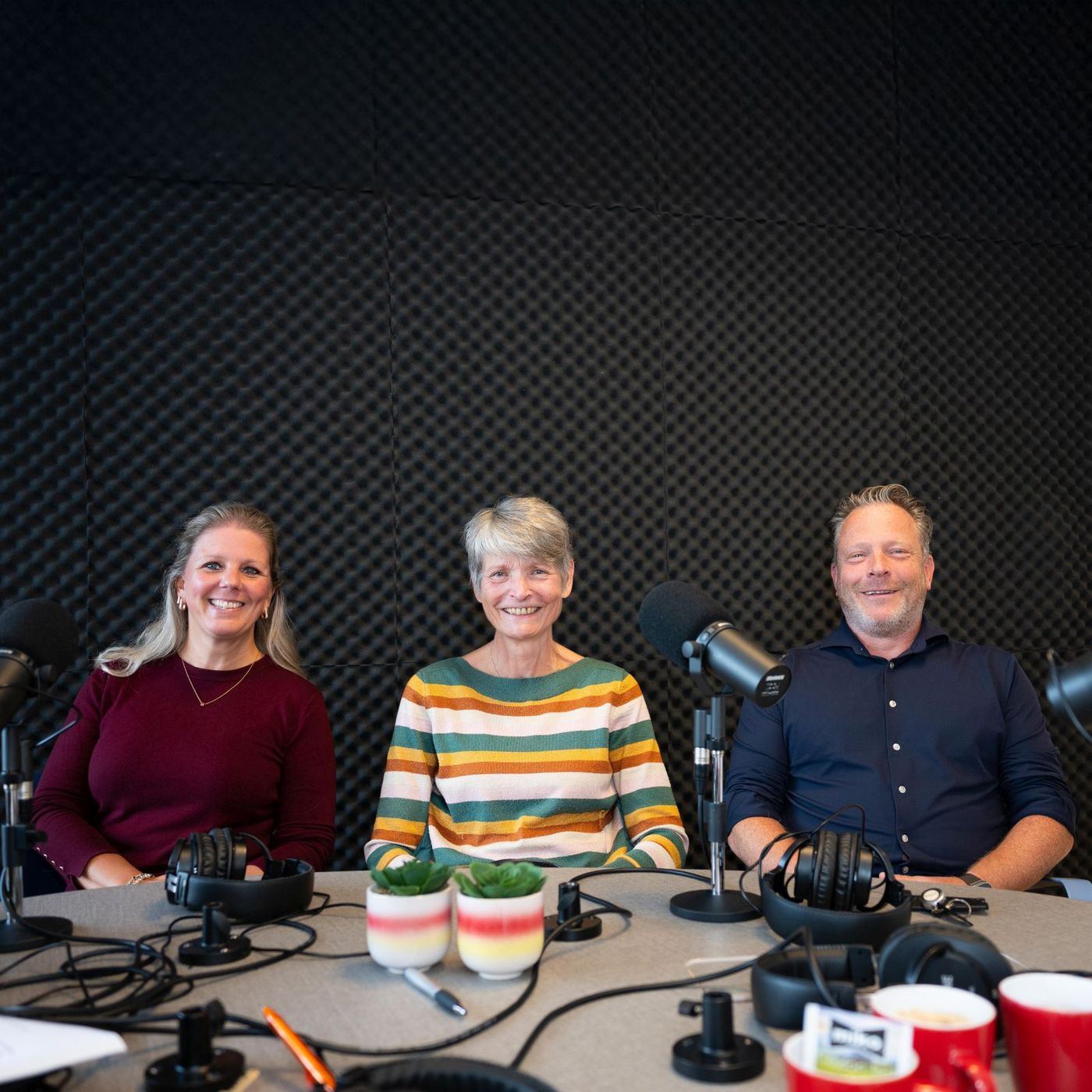 Bravis Podcast