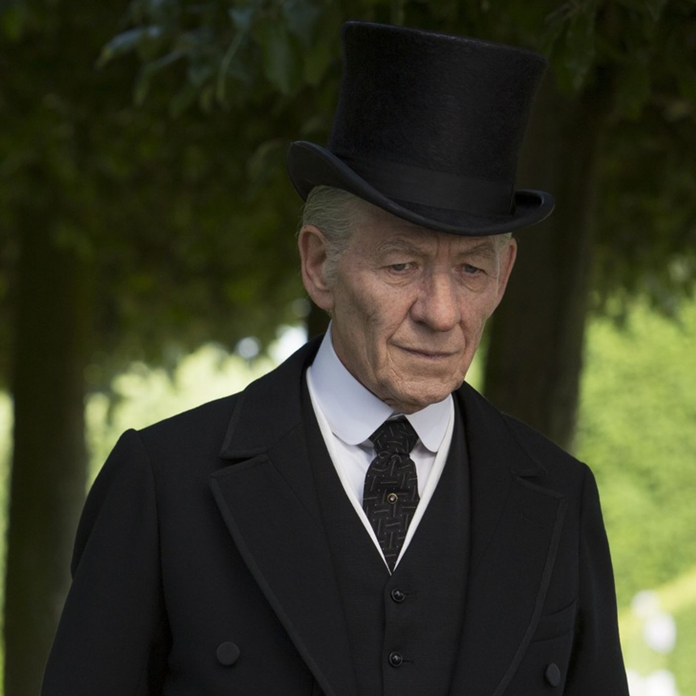 Wing of Sherlock - 270 - Mr. Holmes Wing of Sherlock - 270 - Mr. Holmes