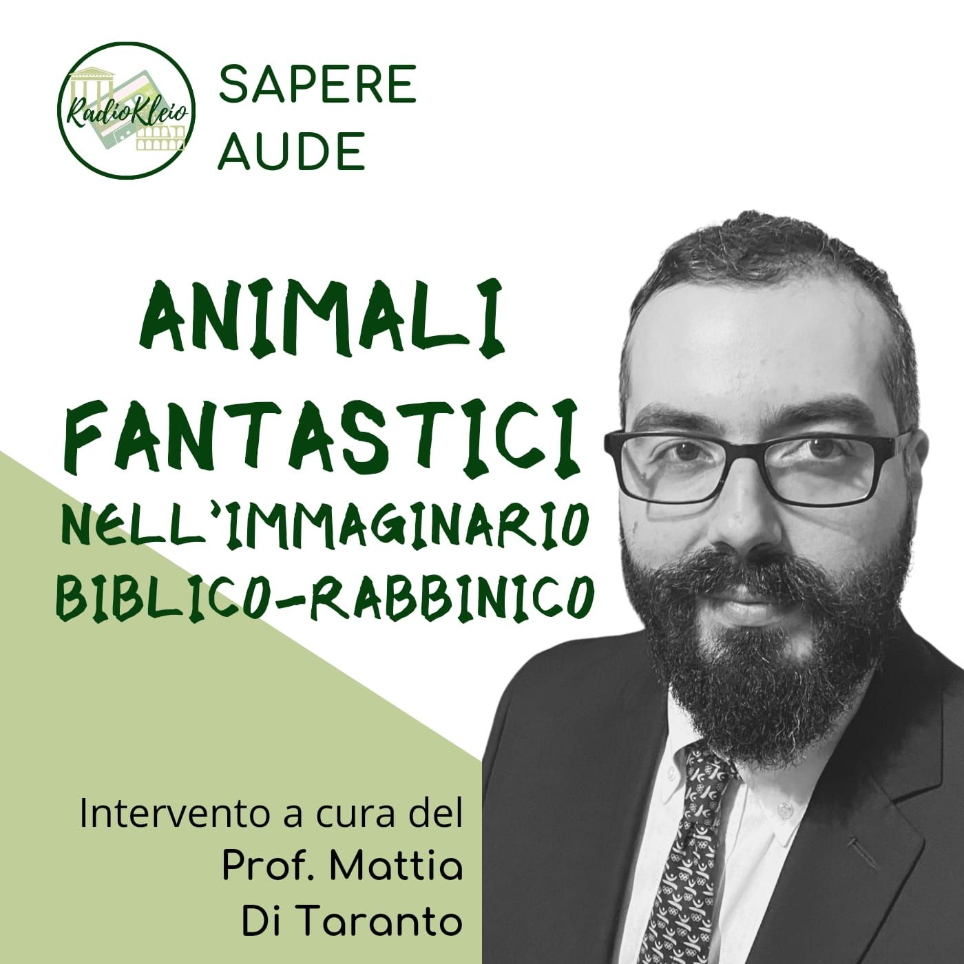RadioKleio