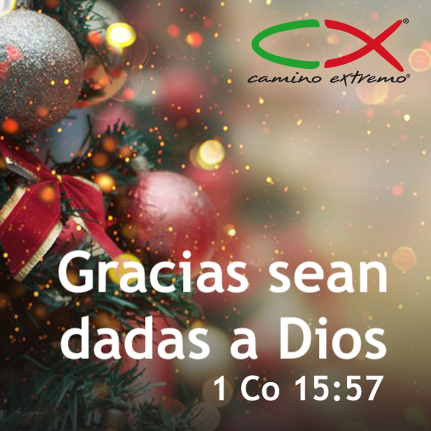 Oración 21 de diciembre (Gracias sean dadas a Dios) episode artwork