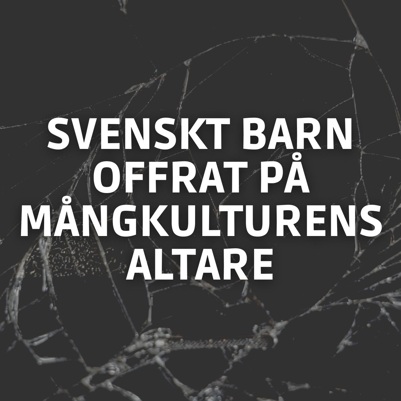 Överfallet i Skellefteå: Svenskt barn offrat på mångkulturens altare (klipp) episode artwork
