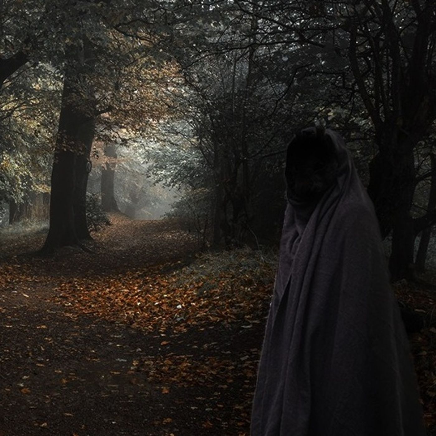 La BRUJA Del Camino Historias De Terror - REDE