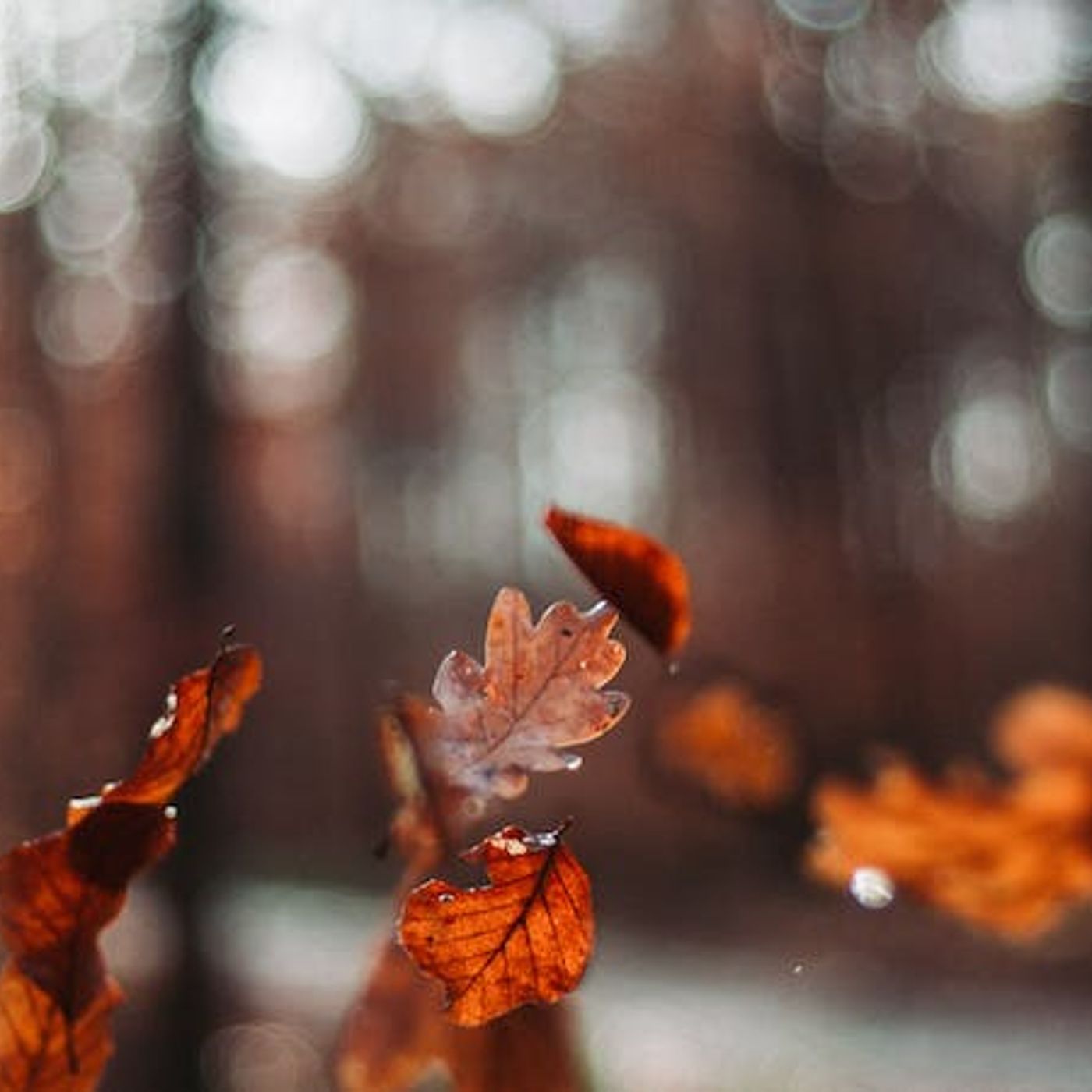 The Glorious Duty of Thanksgiving