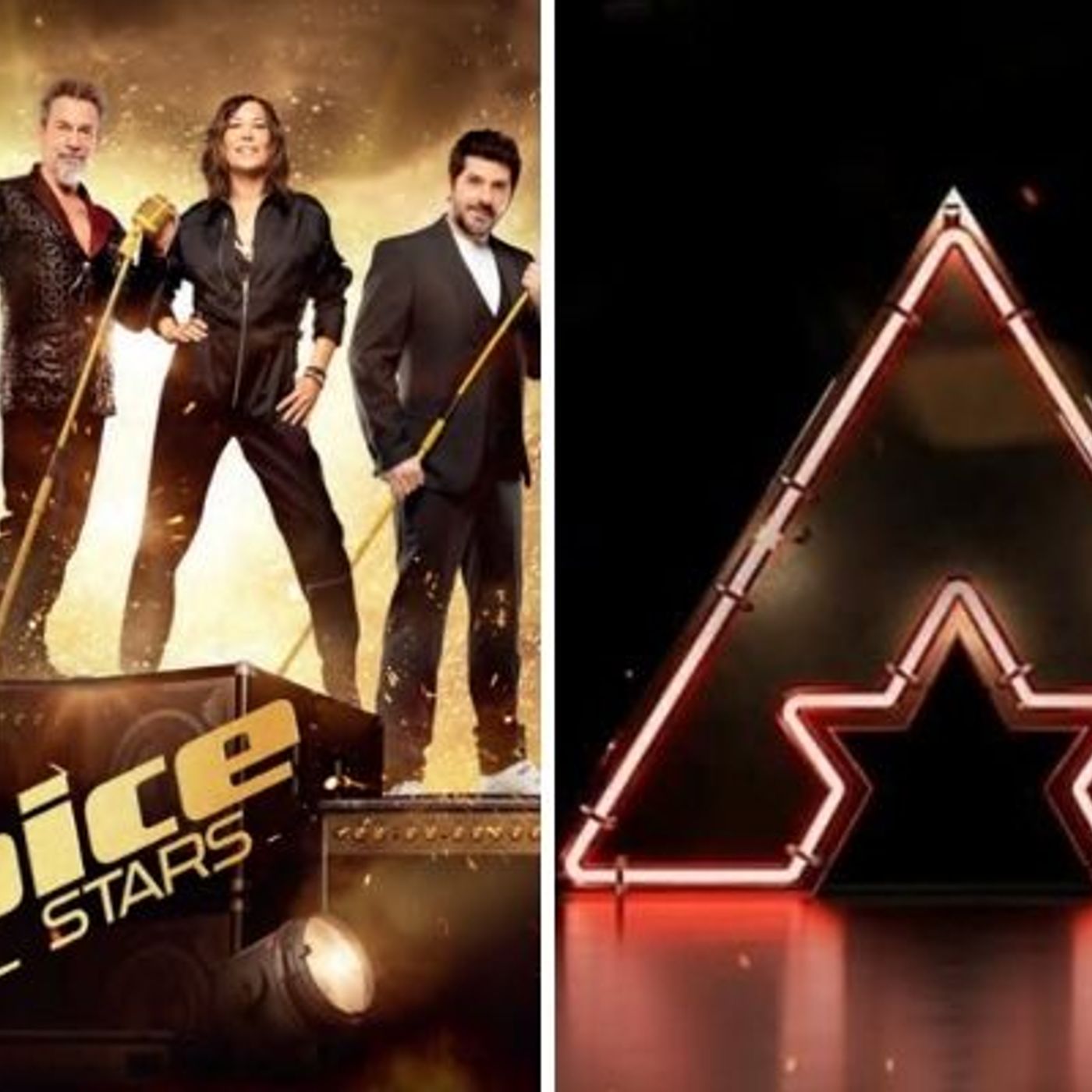 The Voice All Stars vs The Artist : on choisit quoi ? episode artwork