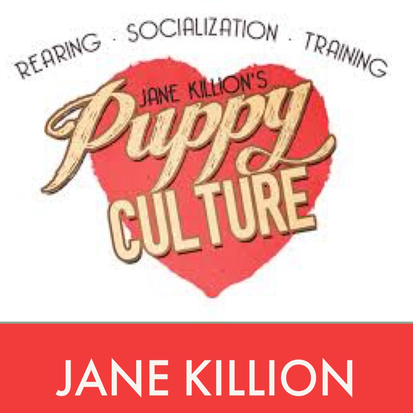 Jane Killion of Puppy Culture & author of When Pigs Fly