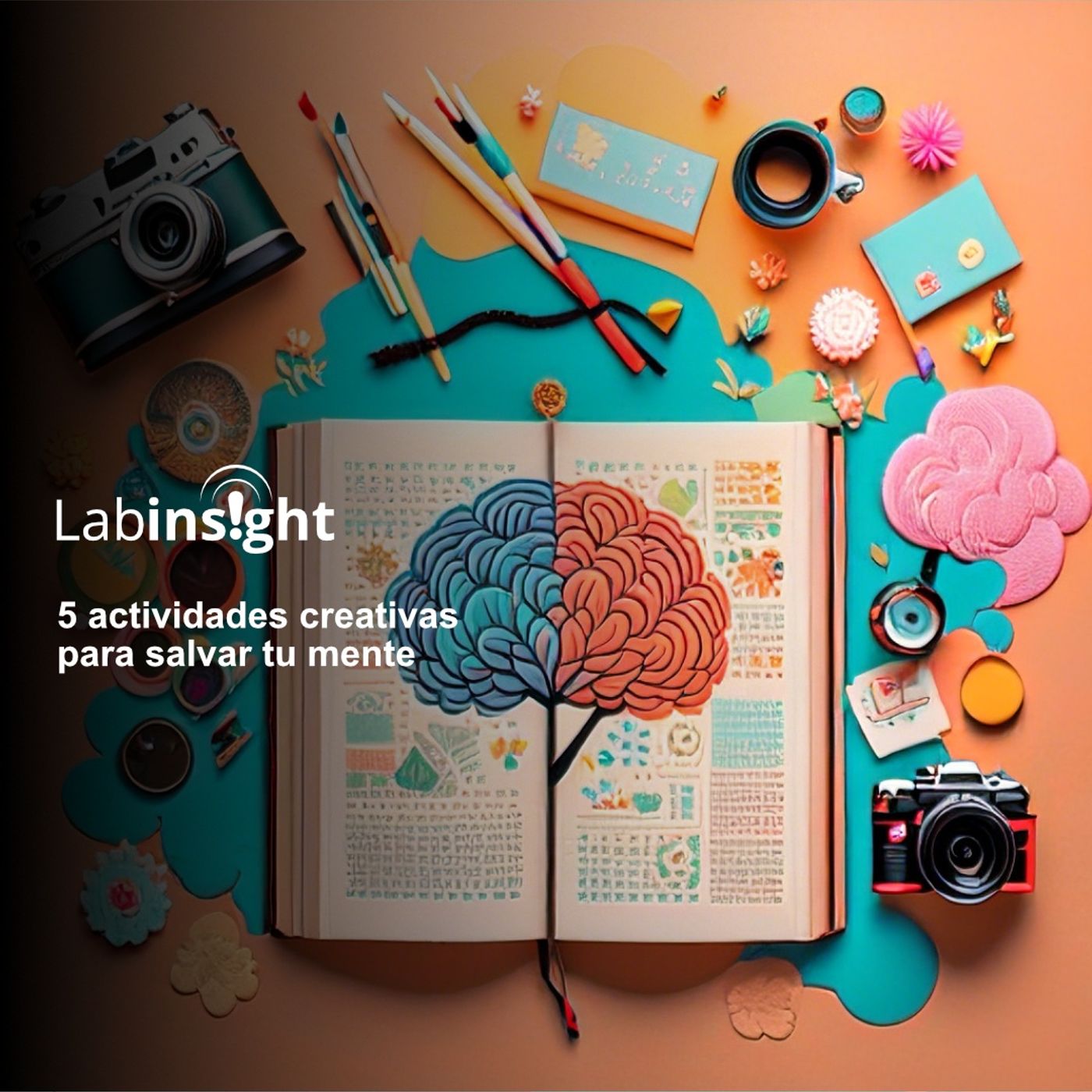 LabInsight