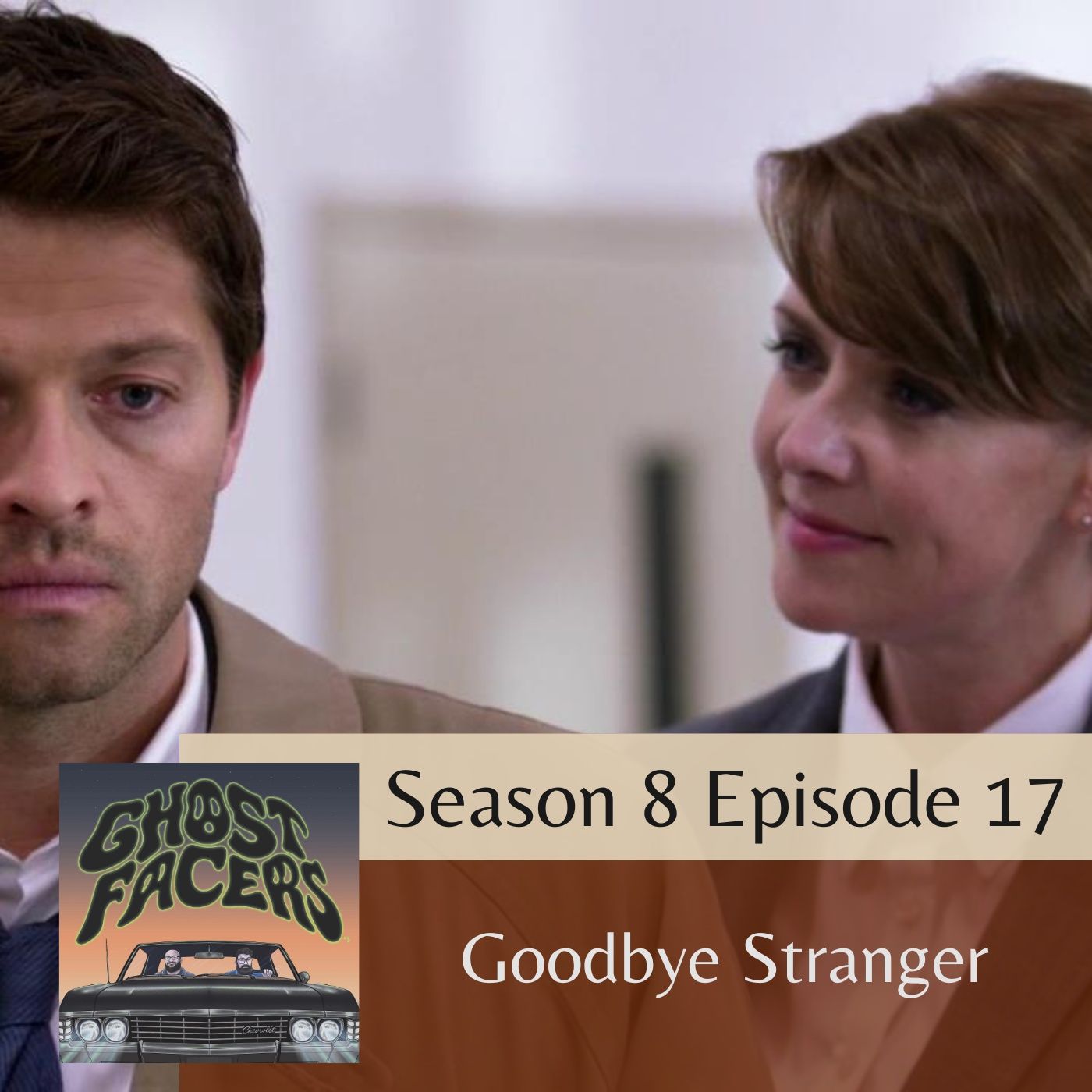 8.17: Goodbye Stranger