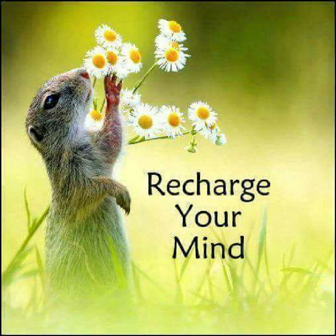 Lift Yourselves Up In Love thumbnail