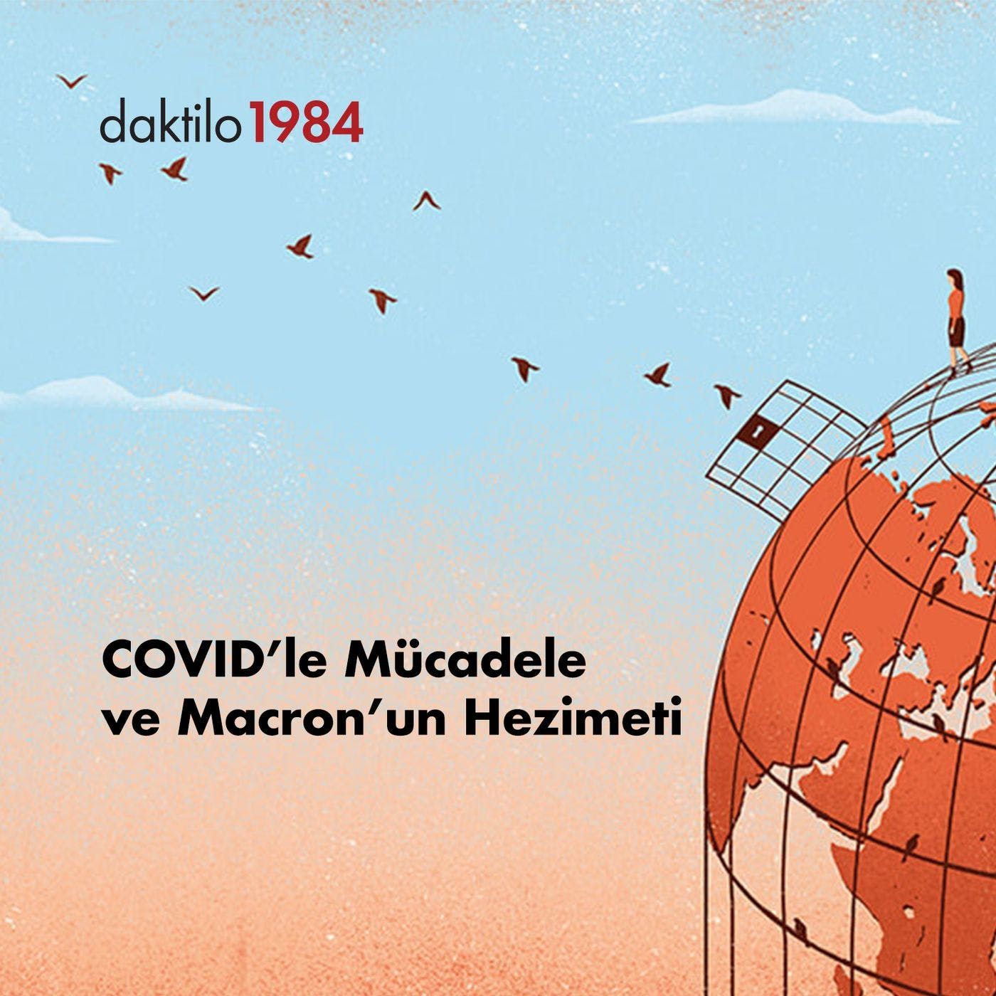 Açık Toplum