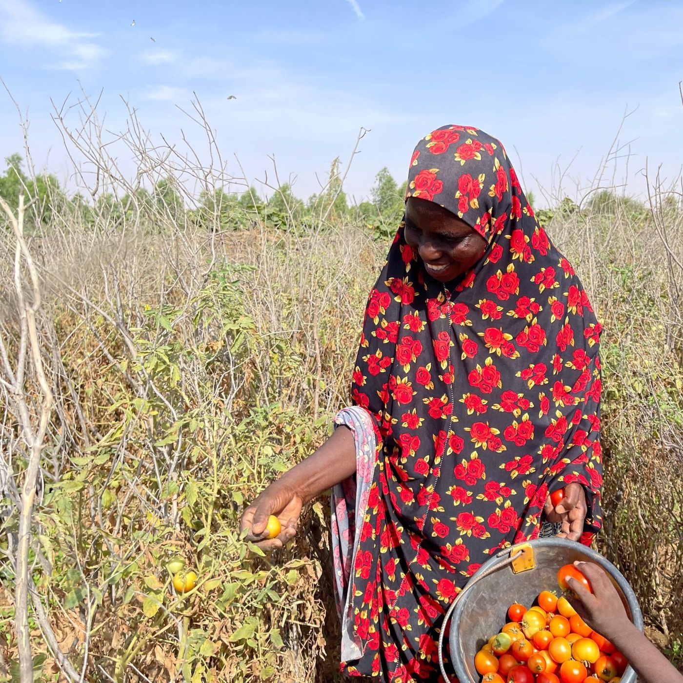 Femmes, santé et initiatives locales et environnement (Le Niger sur Kalangou) episode artwork