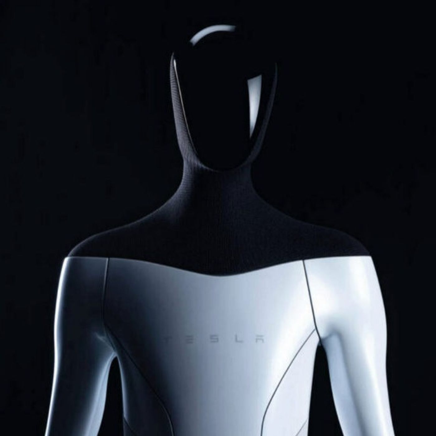 Tesla bot, listo para hacer tu trabajo episode artwork