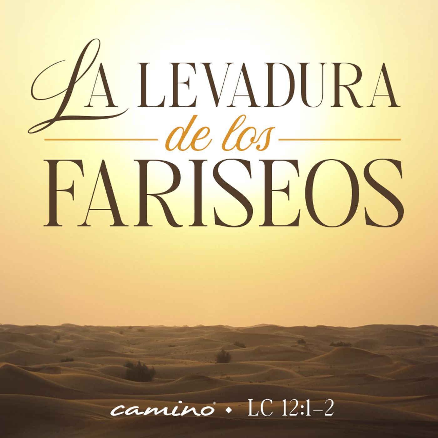 Oración 9 de junio (La levadura de los fariseos) episode artwork