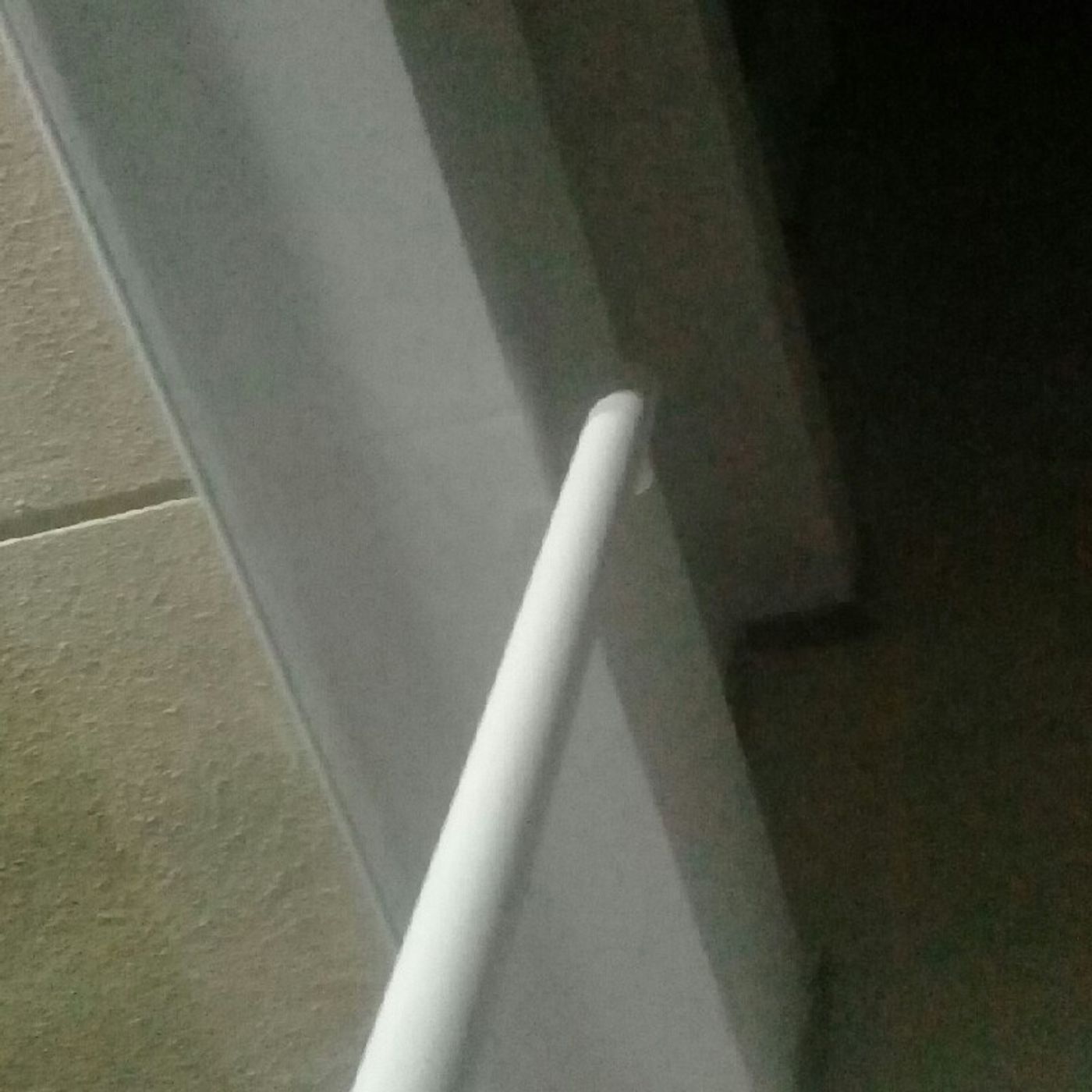 Bajo La Luna