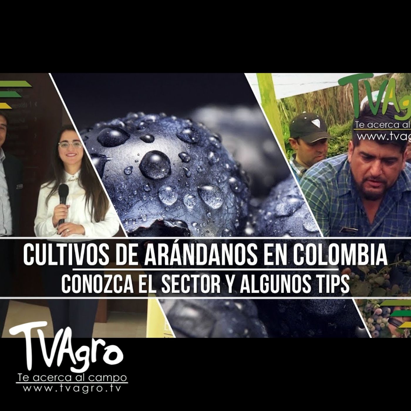 TV AGRO