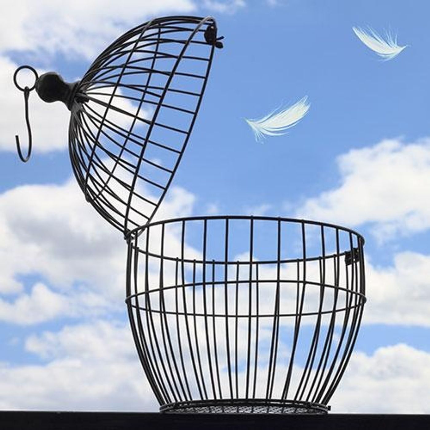 Living Lighter Radio with Jason & Patricia: An Ecosystem Approach to Your Life!: Freedom - real freedom is NOT political, its internal