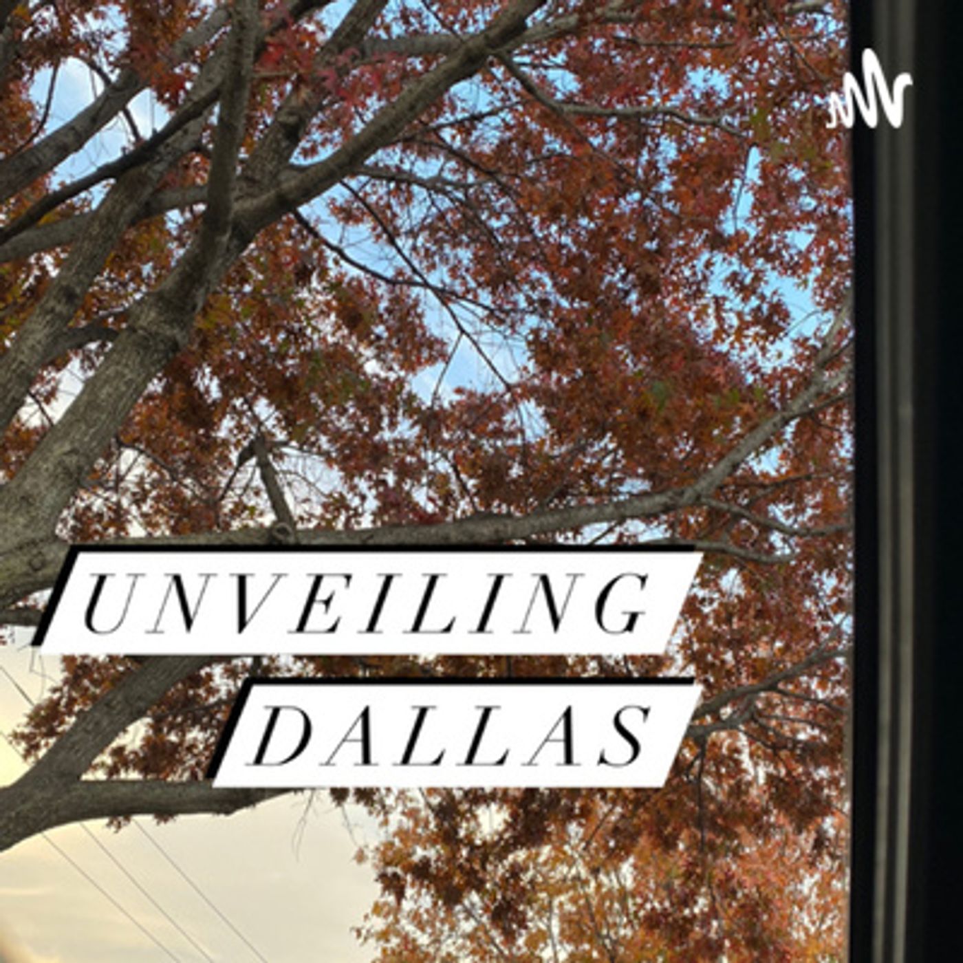 Unveiling Dallas