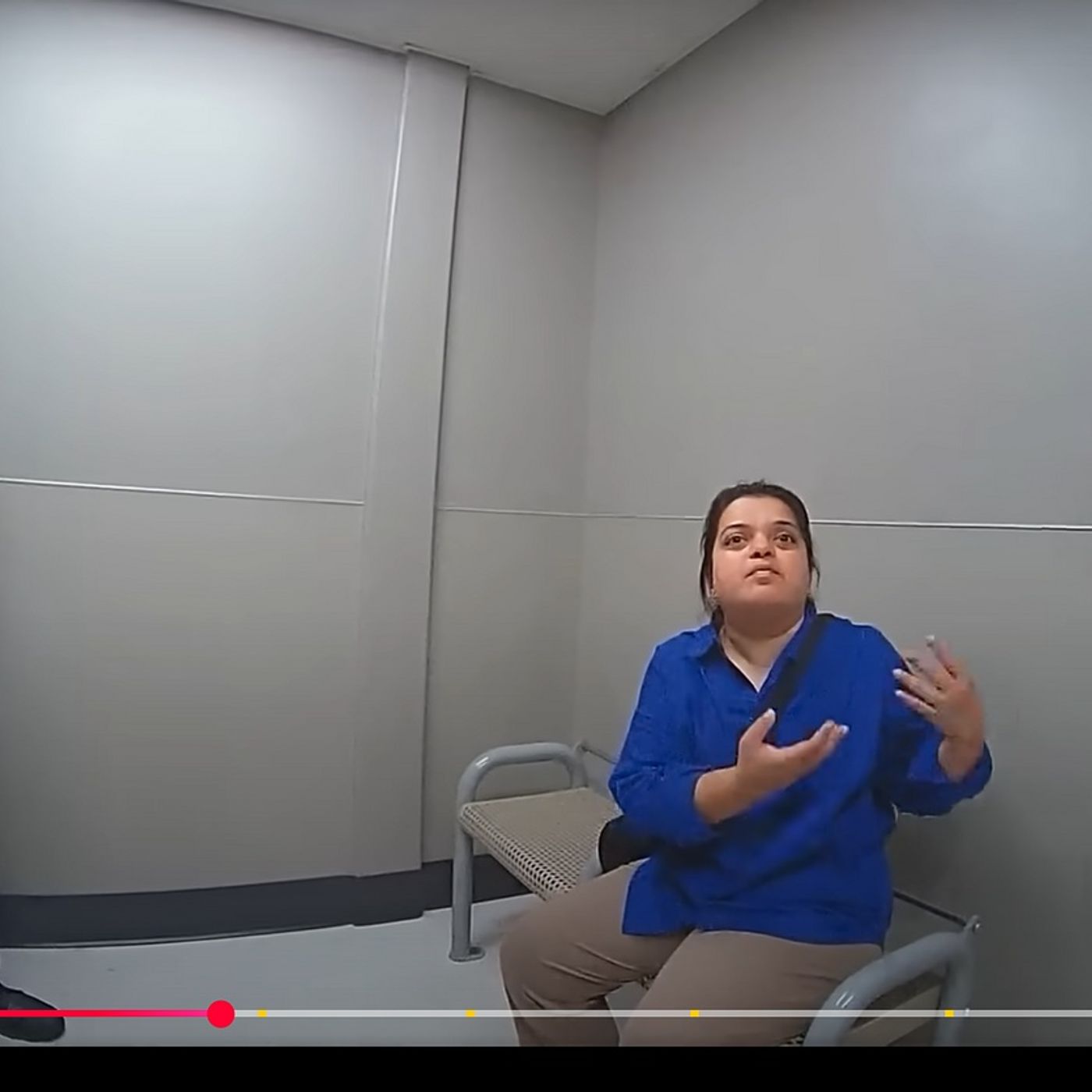 Woman whose shoplifting arrest went viral pleads guilty in McHenry County court via Zoom from India episode artwork