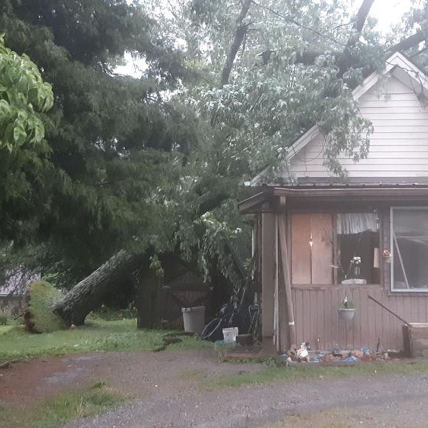 6/21/19–It’s some sort of summertime! (pic-LeanneFuller)