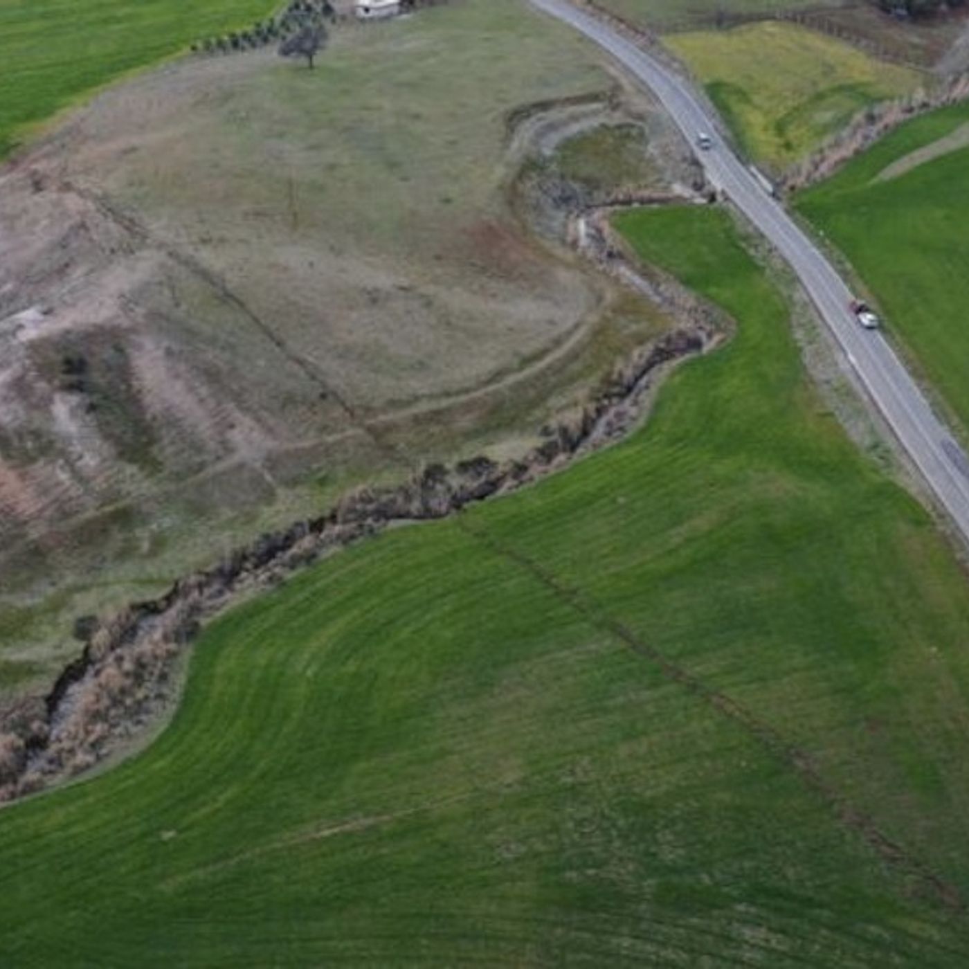 WHO Press Conference Plan to Help Earthquake victims in Turkey and Syria