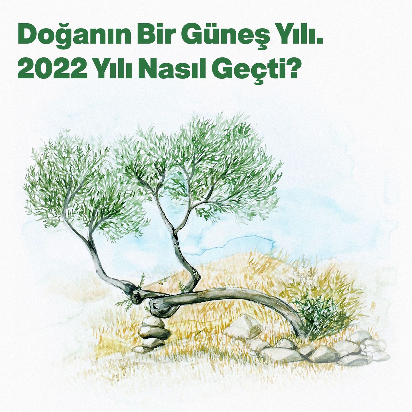 Doğanın Bir Güneş Yılı. 2022 Yılı Nasıl Geçti? episode artwork