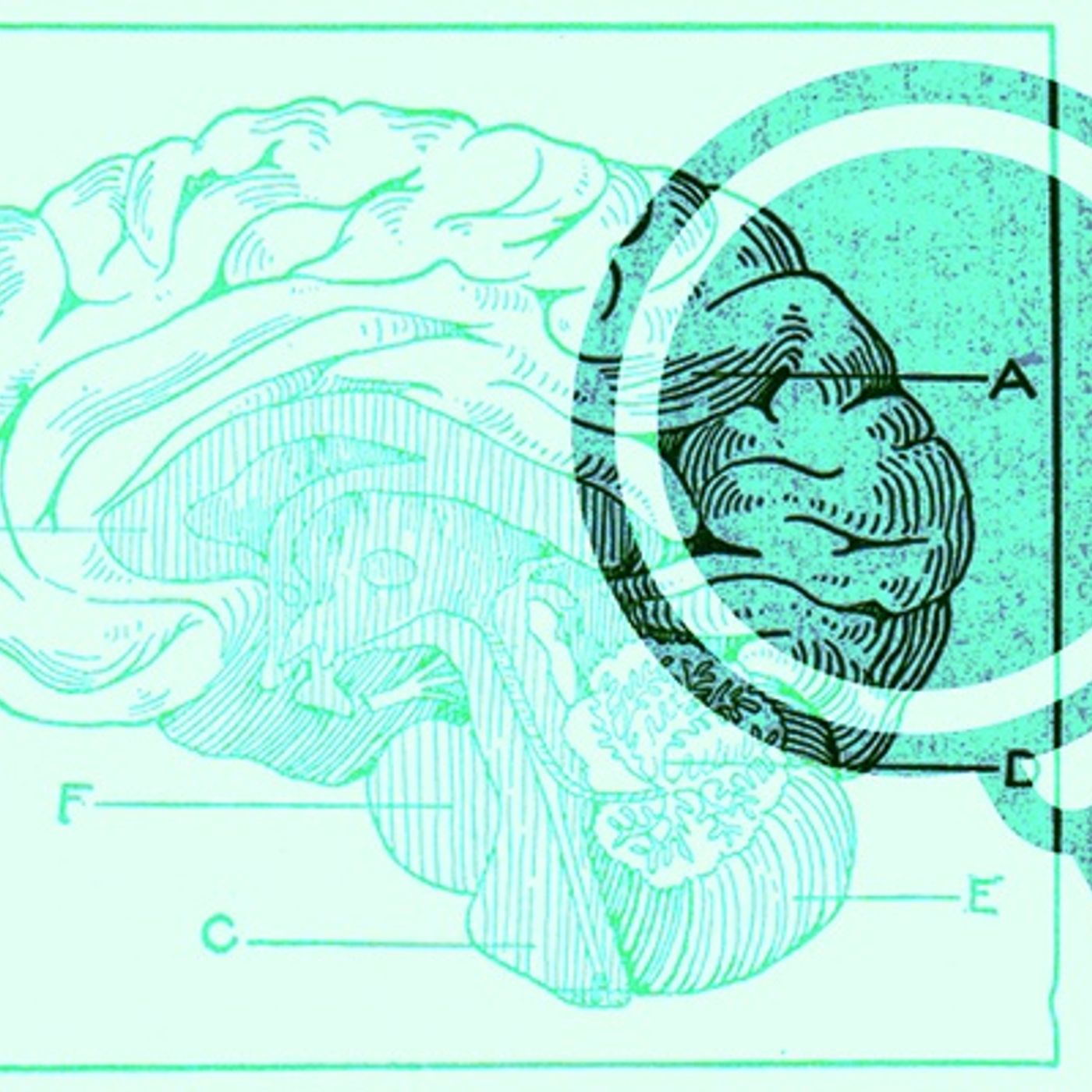 Conociendo la salud mental