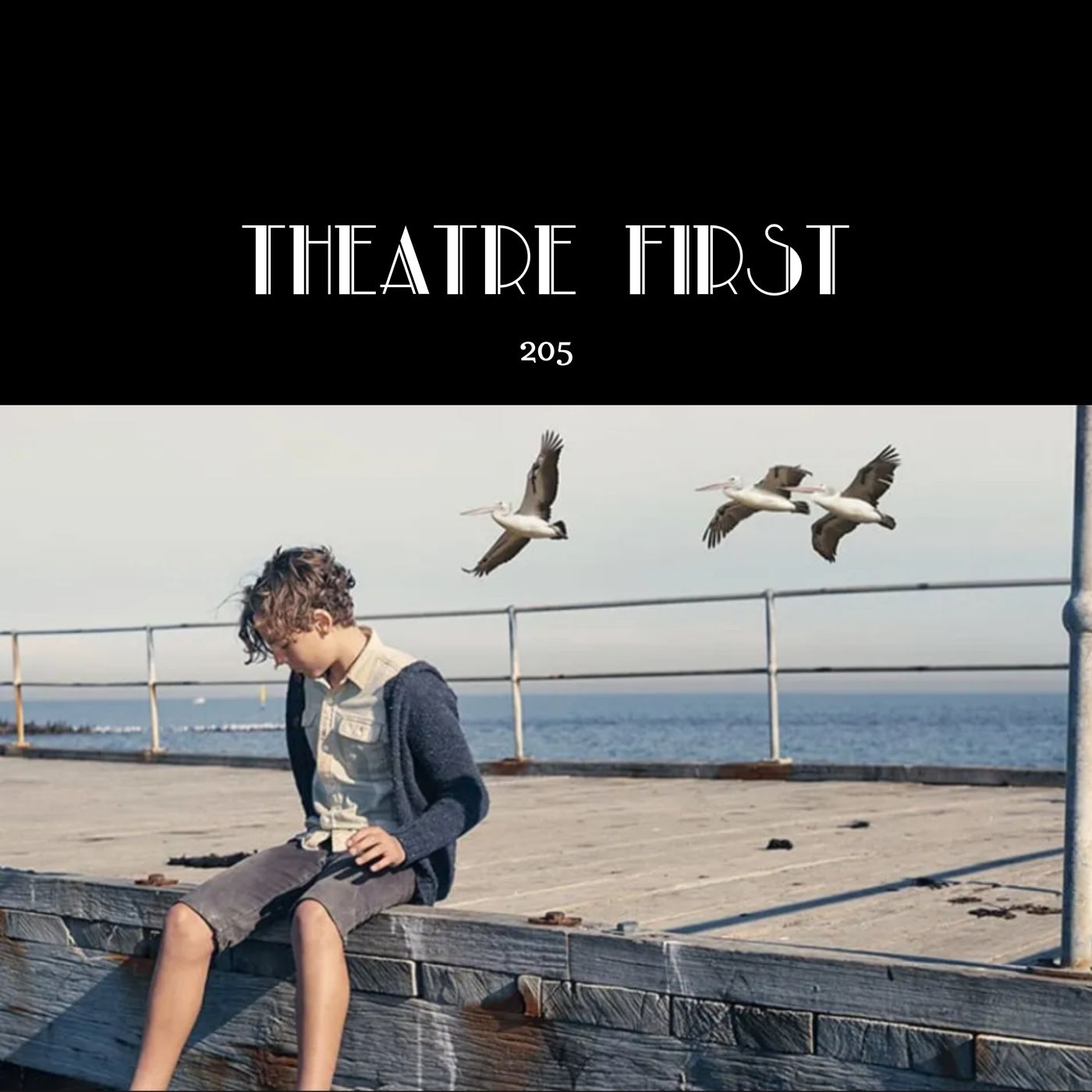 205: Storm Boy (MTC, Melbourne Australia) (review) episode artwork