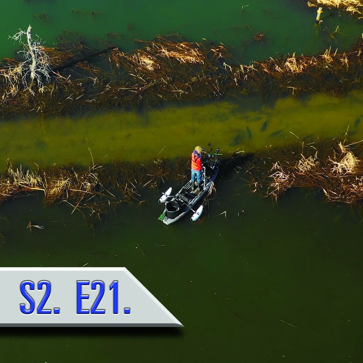 AMS Bowfishing Buzz podcast