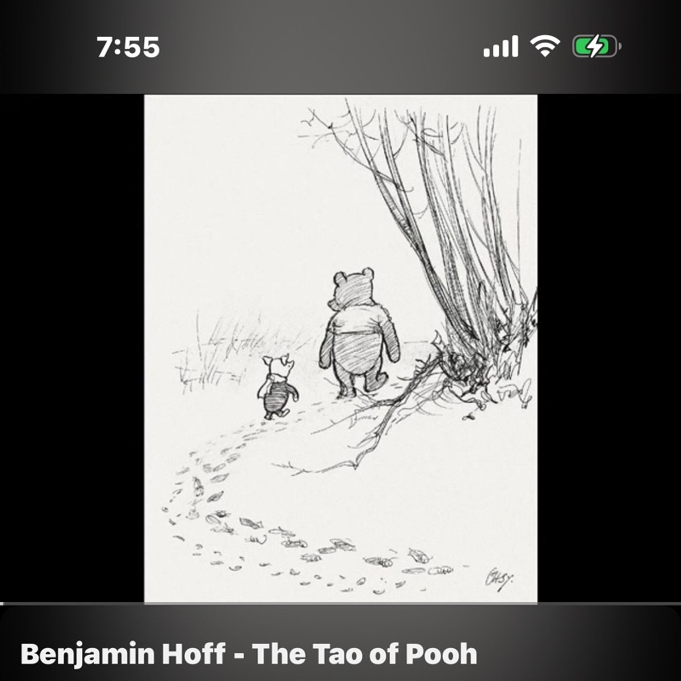 Episode 11 - Flow State Vs Grind