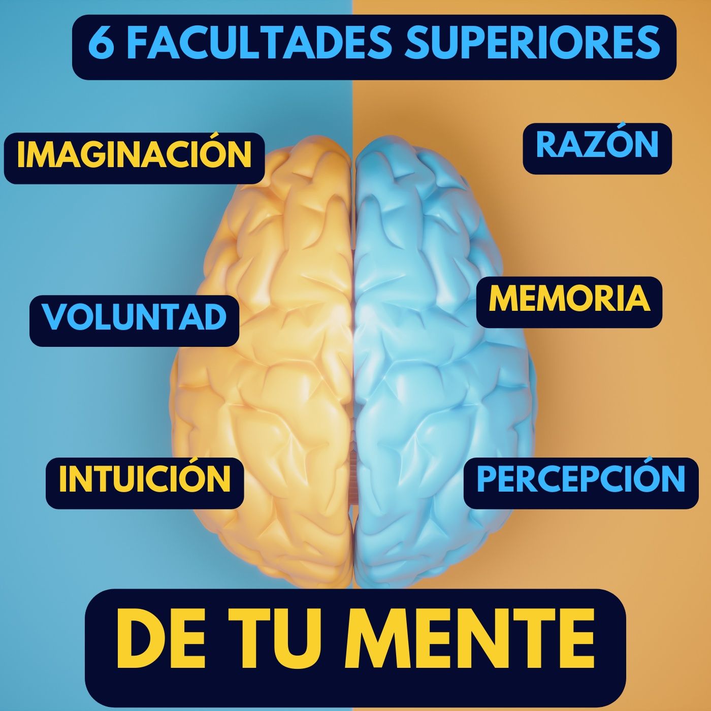 5 CREA MOLDEA y CONSTRUYE Tu Realidad con estas 6 HERRAMIENTAS POTENTES. Bob Proctor en español episode artwork