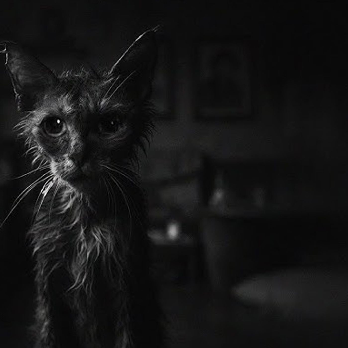 Solo Espero Que Nadie Abra Esa Puerta Jamás - Historias De Terror - Voces De La Noche