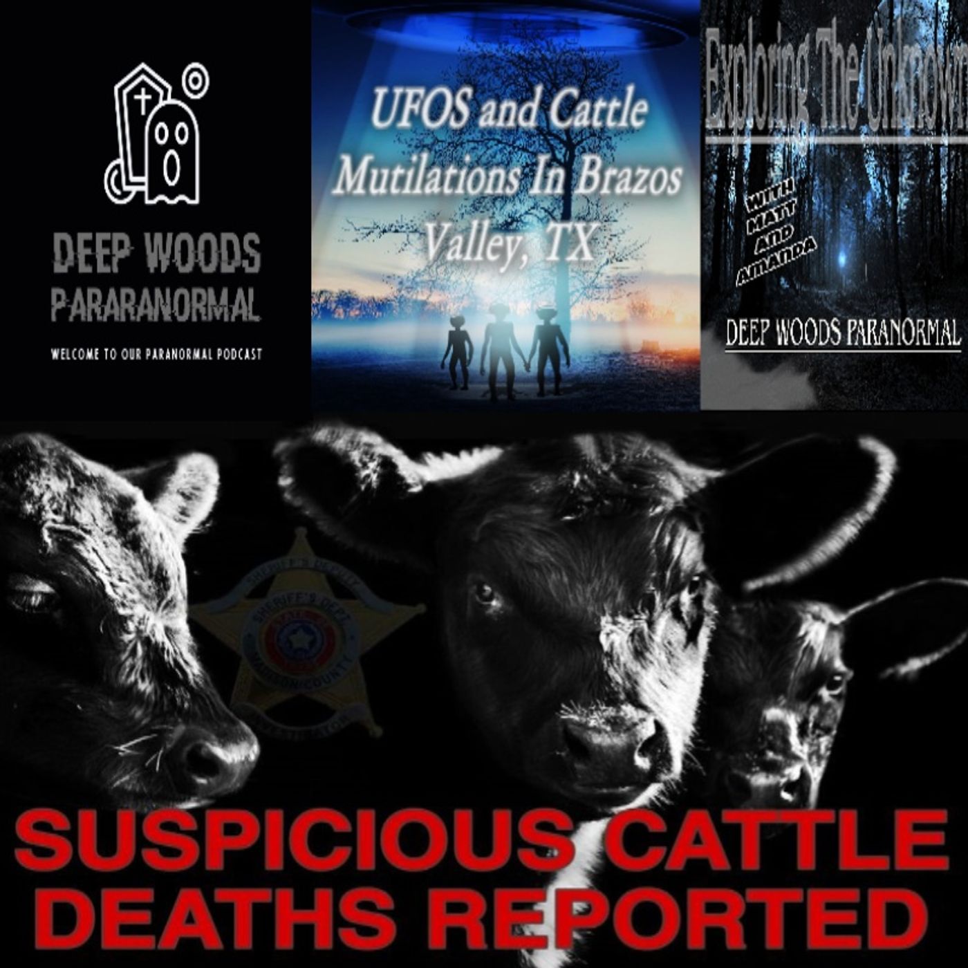 We talk about all things paranormal. Hauntings, UFOS, Bigfoot Dogman and more paranormal activity.