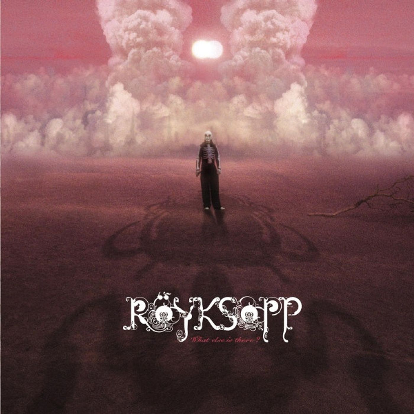 Röyksopp. Ricordiamo la band norvegese di musica elettronica, nota negli anni 90 e 2000 e che nel 2005 pubblicò la hit "What Else Is There?"