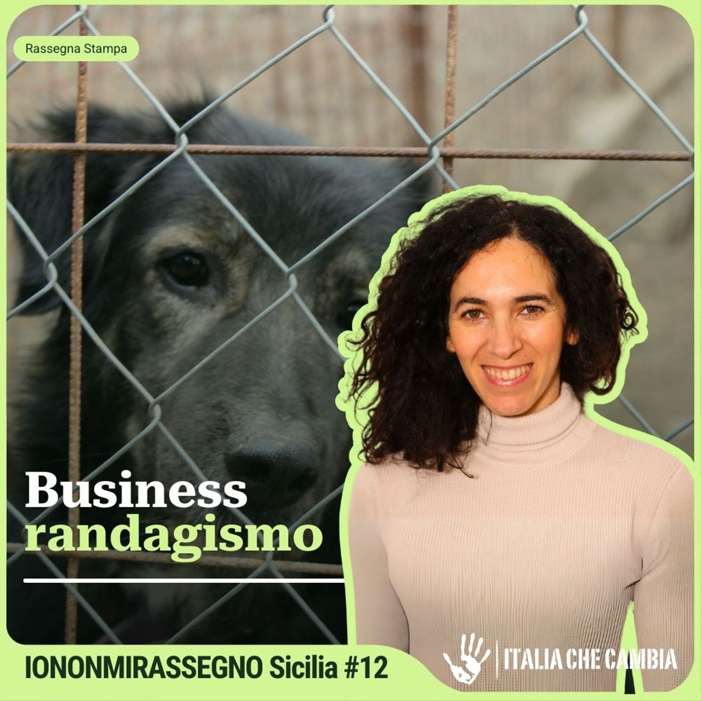 In Sicilia il benessere degli animali compromesso da una nuova proposta di legge – INMR Sicilia #12 episode artwork