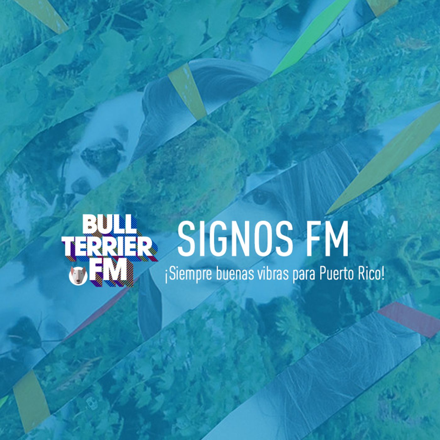 SignosFM
