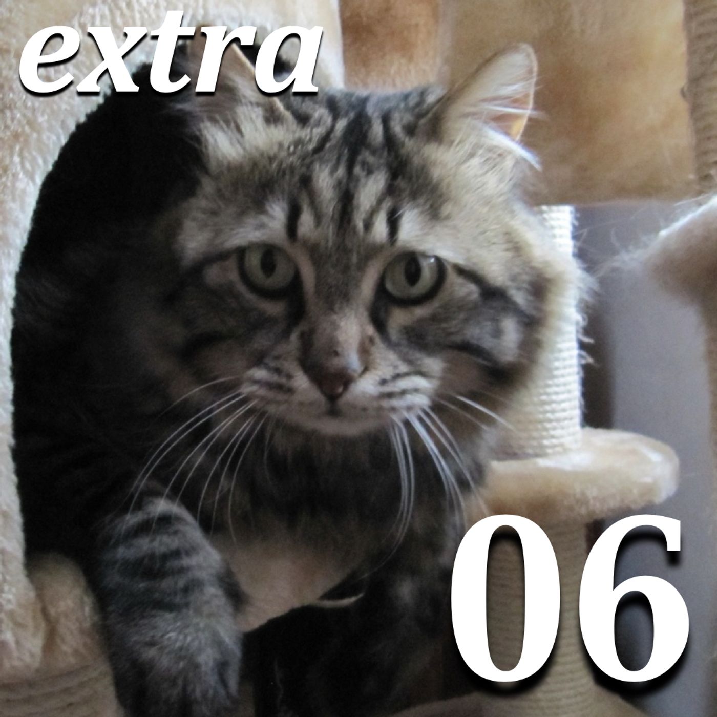 Riallineamento (Extra del Mercoledì #06)