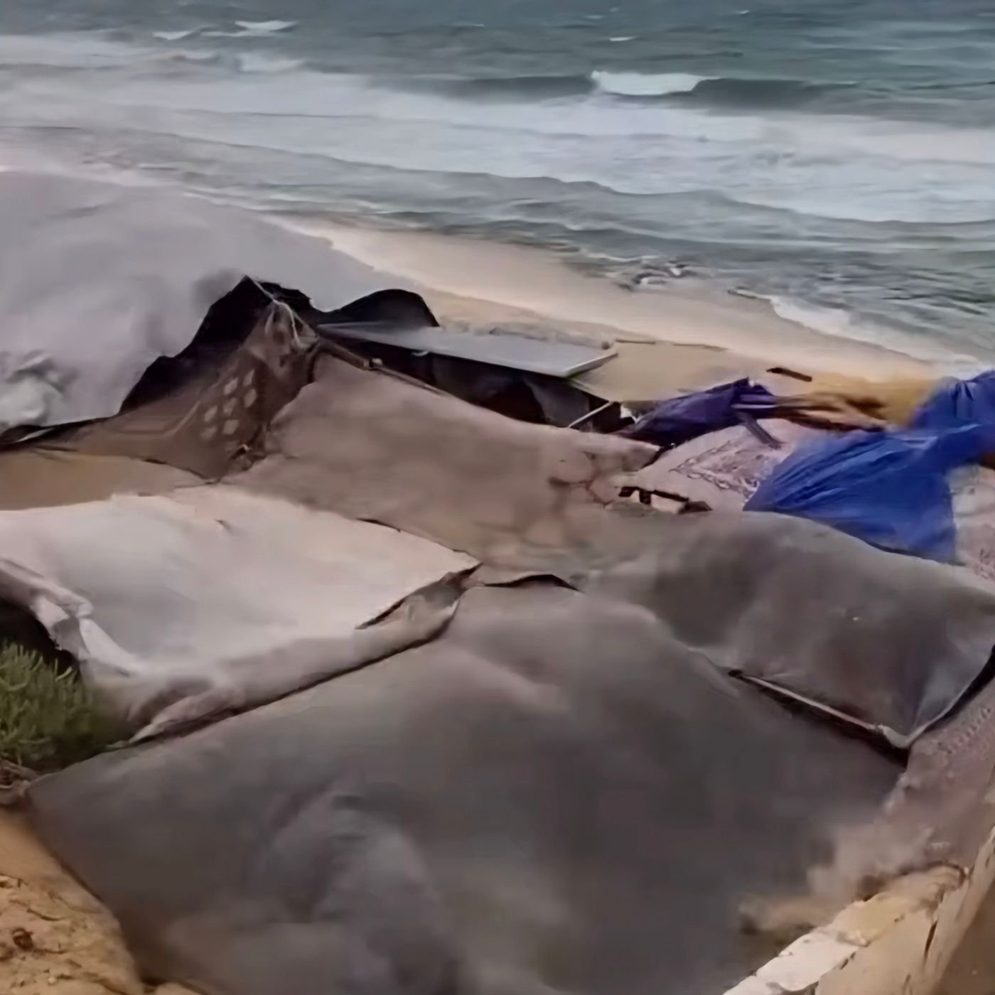 19 novembre 2025 - Notiziario Mondo