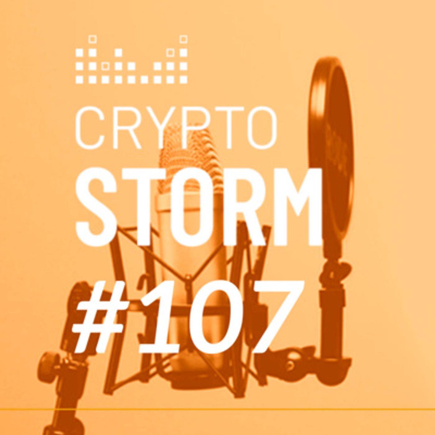 Crypto Storm
