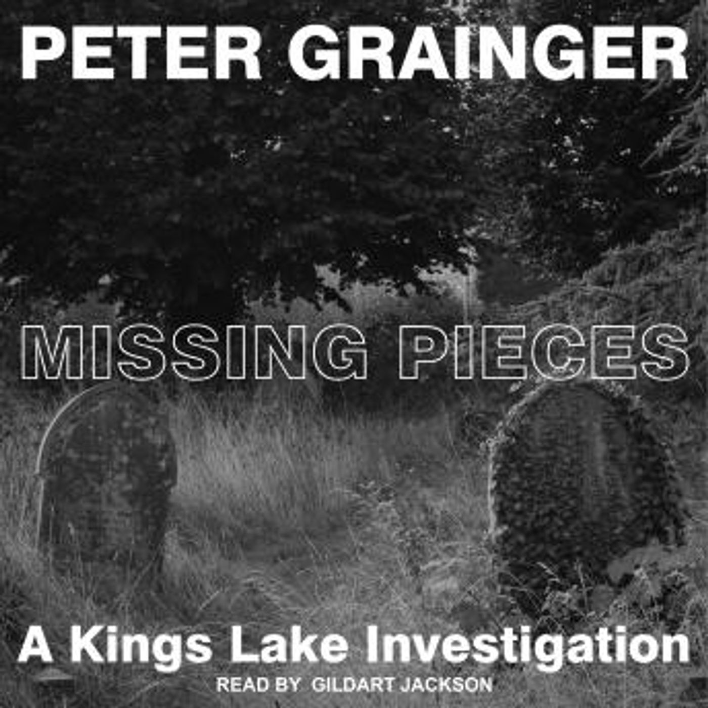 Listen to Top Full Audiobooks in Mystery, Thriller & Horror, Police & Detective