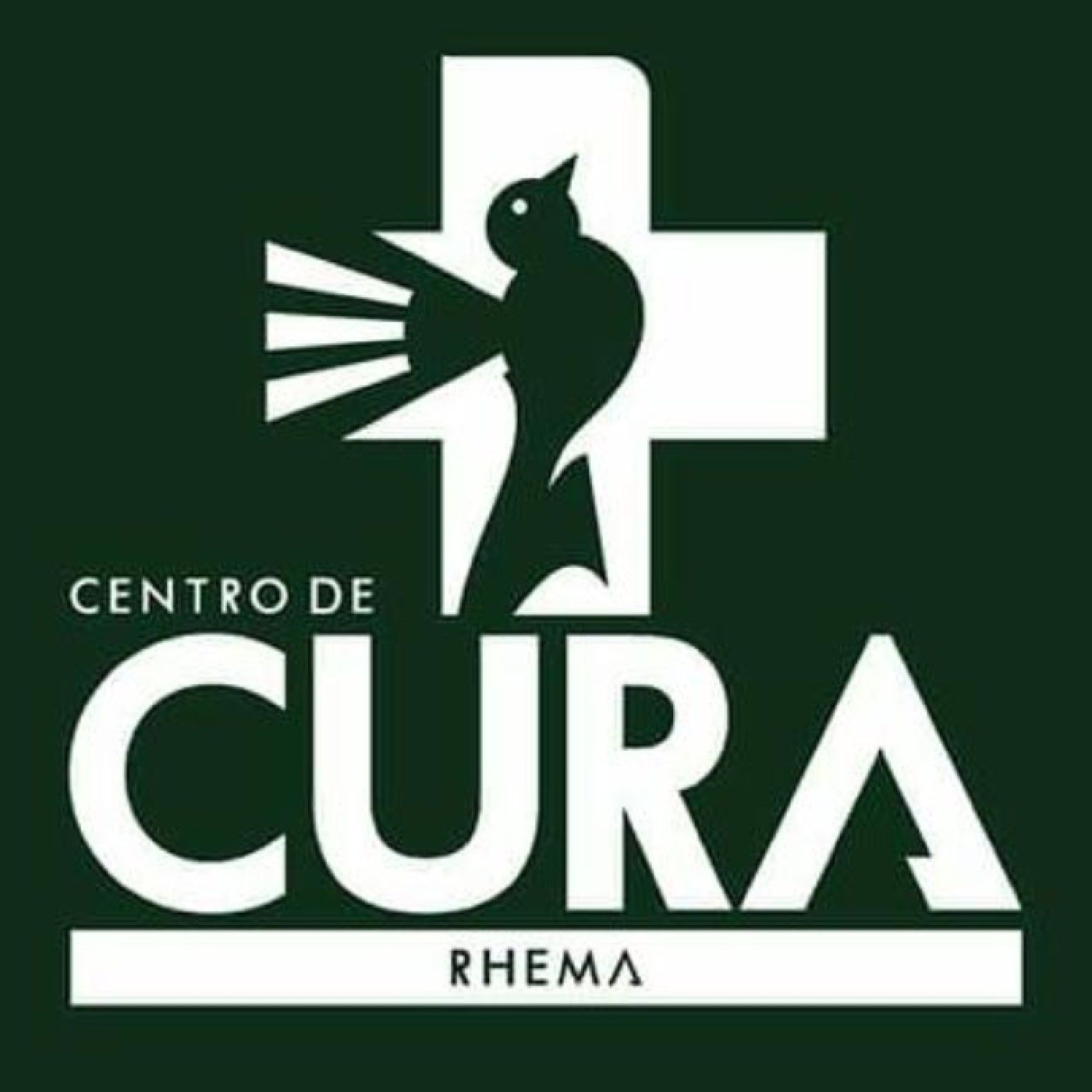 Centro De Cura Verbo Da Vida Recife-CG
