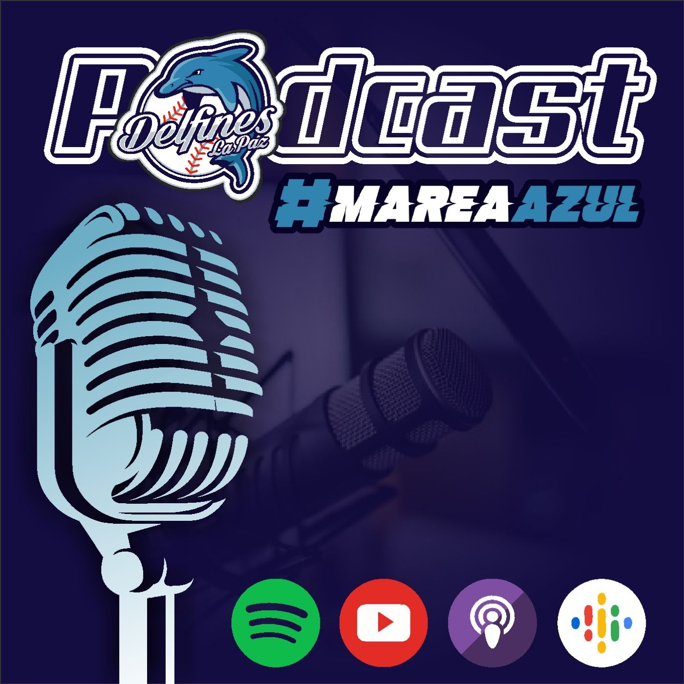 Podcast Image