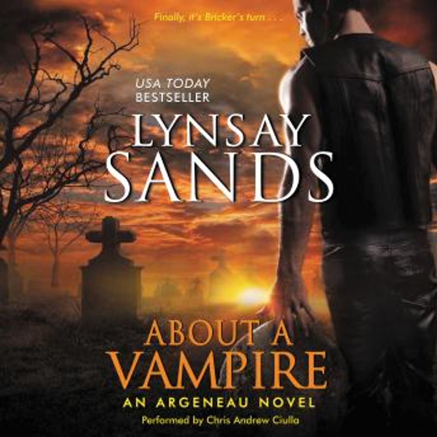 Find Best-Selling Full Audiobooks in Romance, Modern