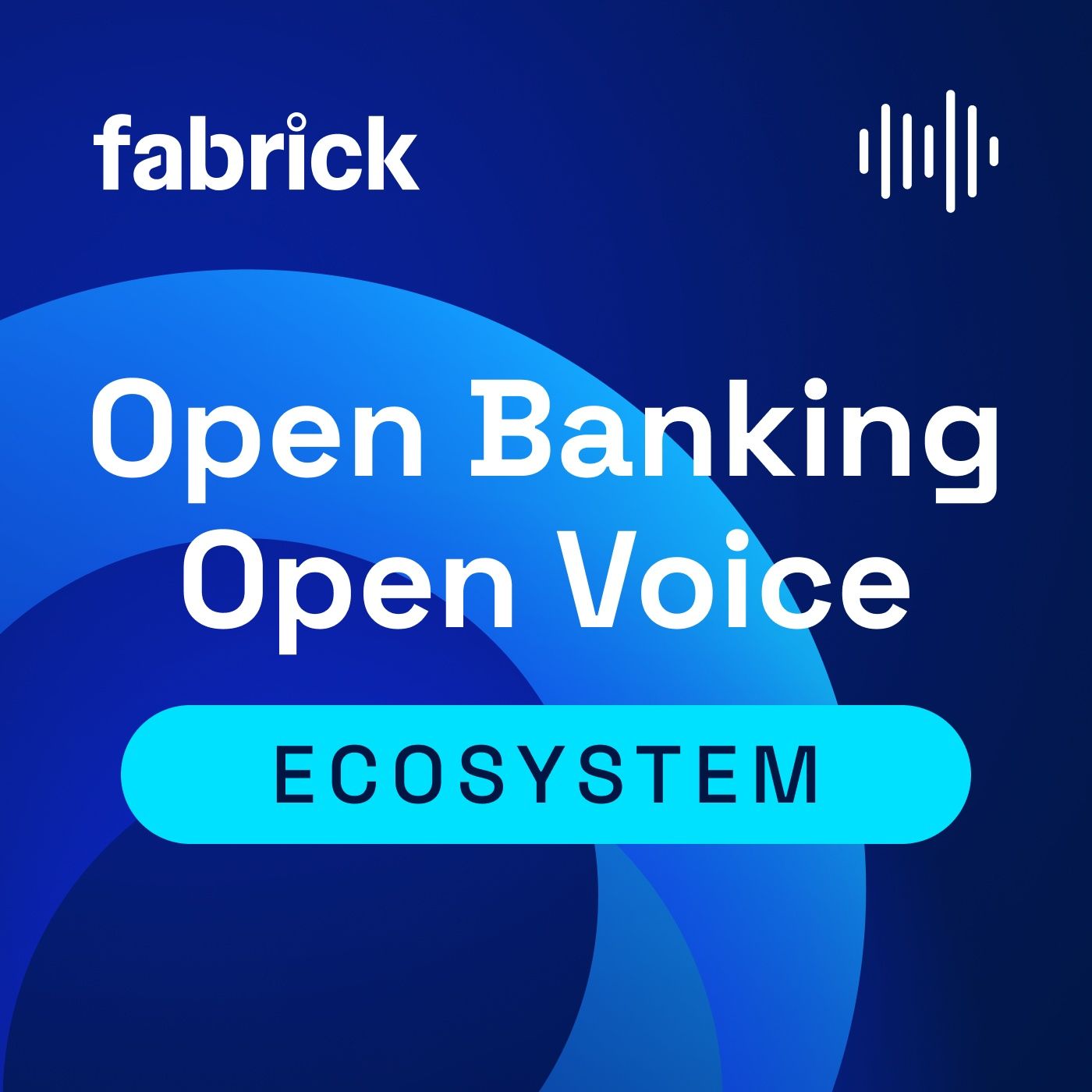 ECOSYSTEM - Open Banking, Open Voice