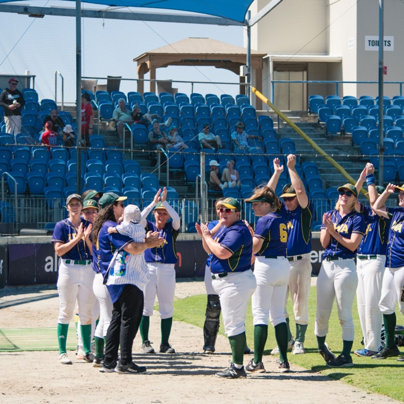 Ladywhips Baseball