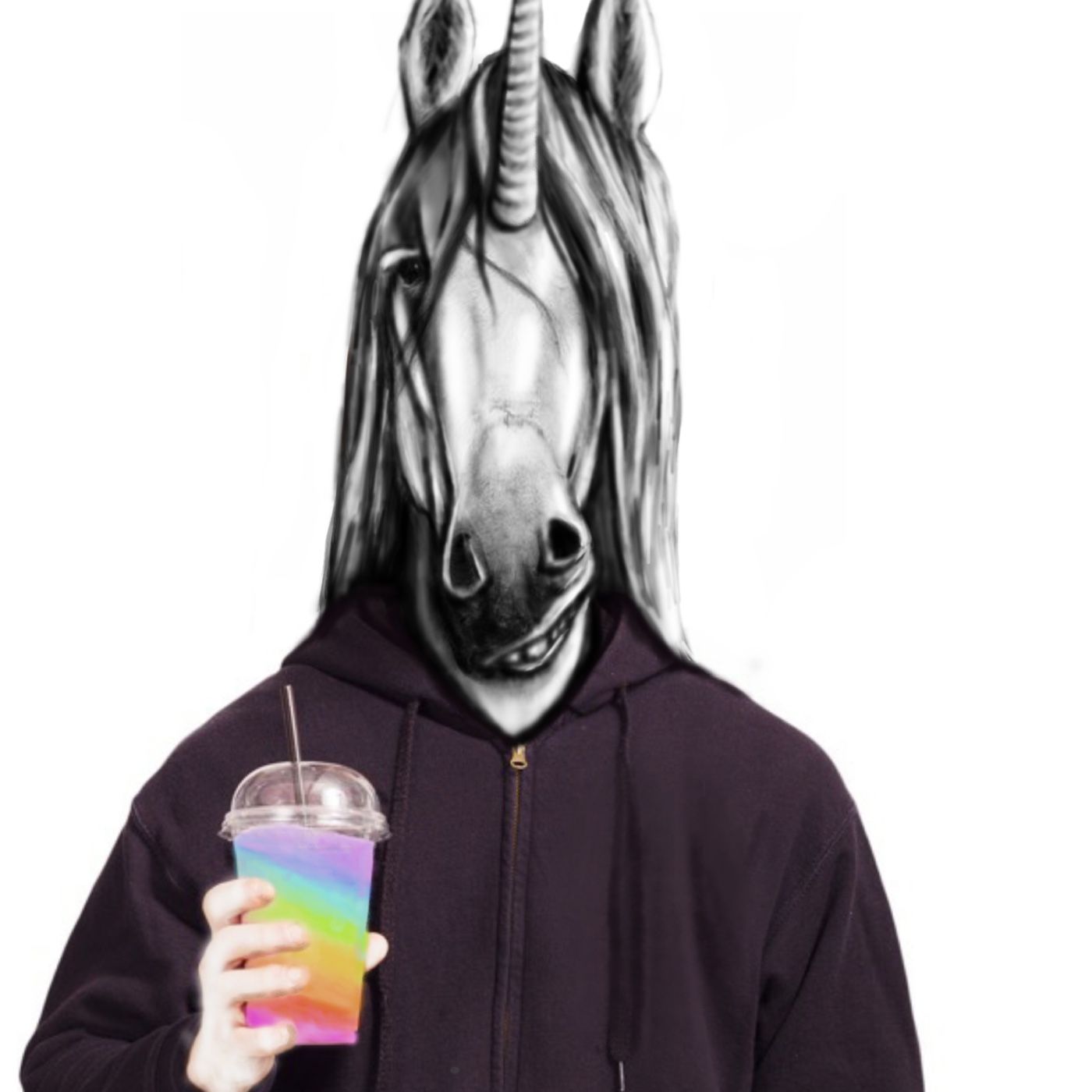 Unicorns In The City