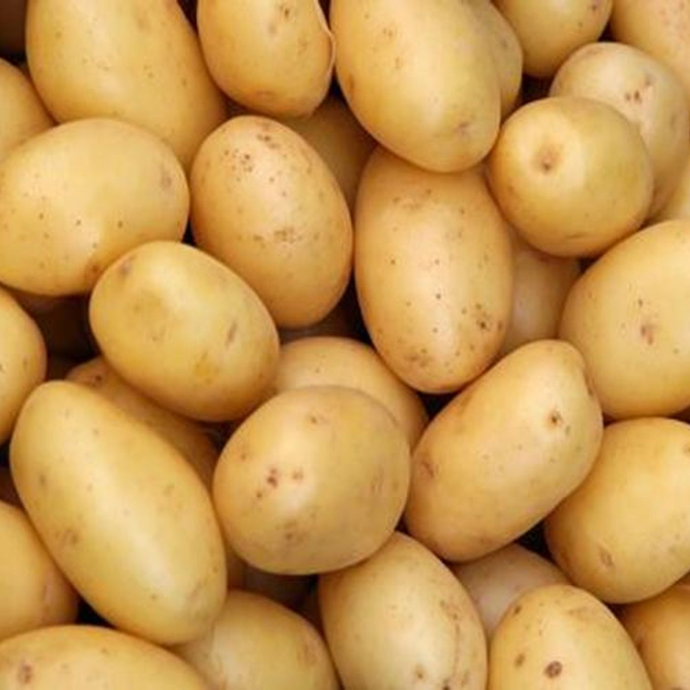 BBCast Agro