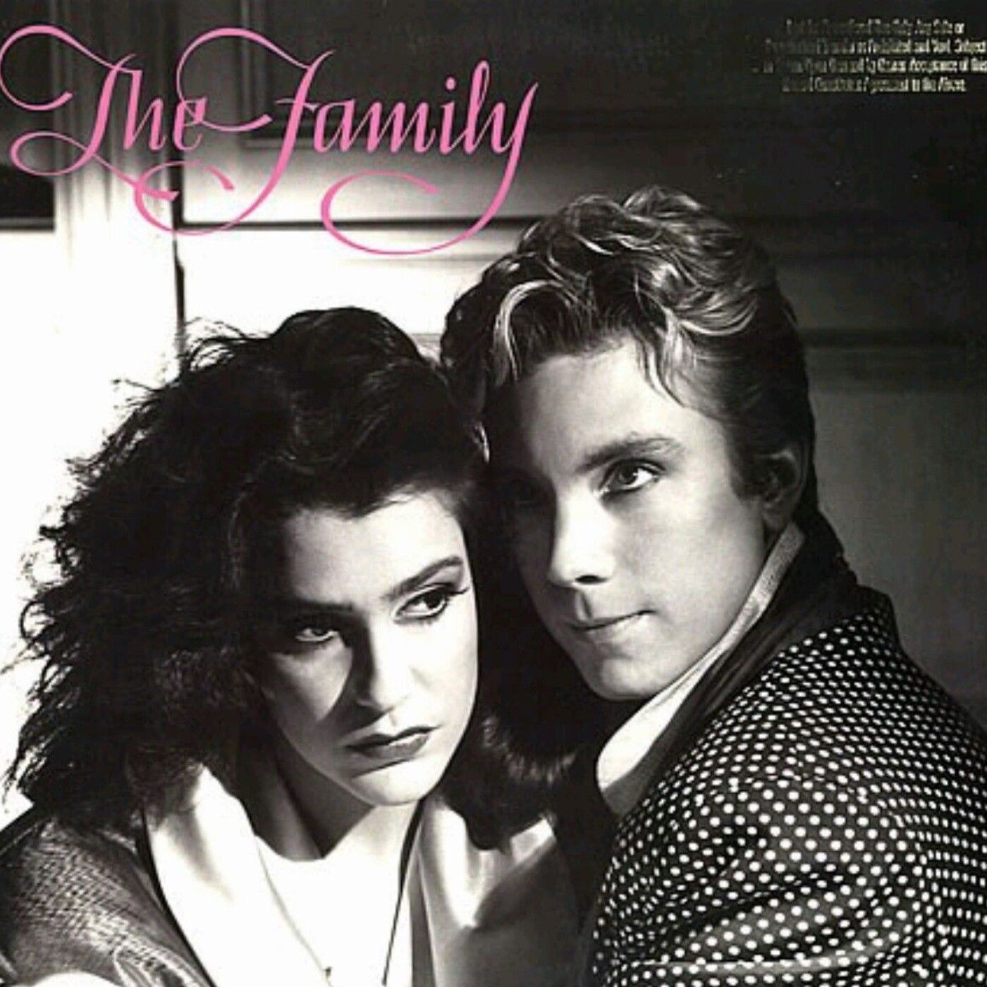 Purple Music Podcast 3x04. Review The Family (The Family/Prince, 1985). episode artwork