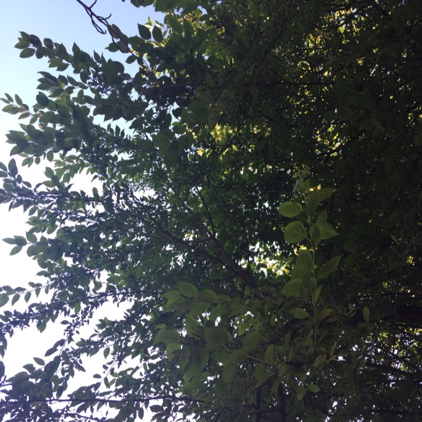 JESUS a firm foundation. Peace that surpasses understanding.