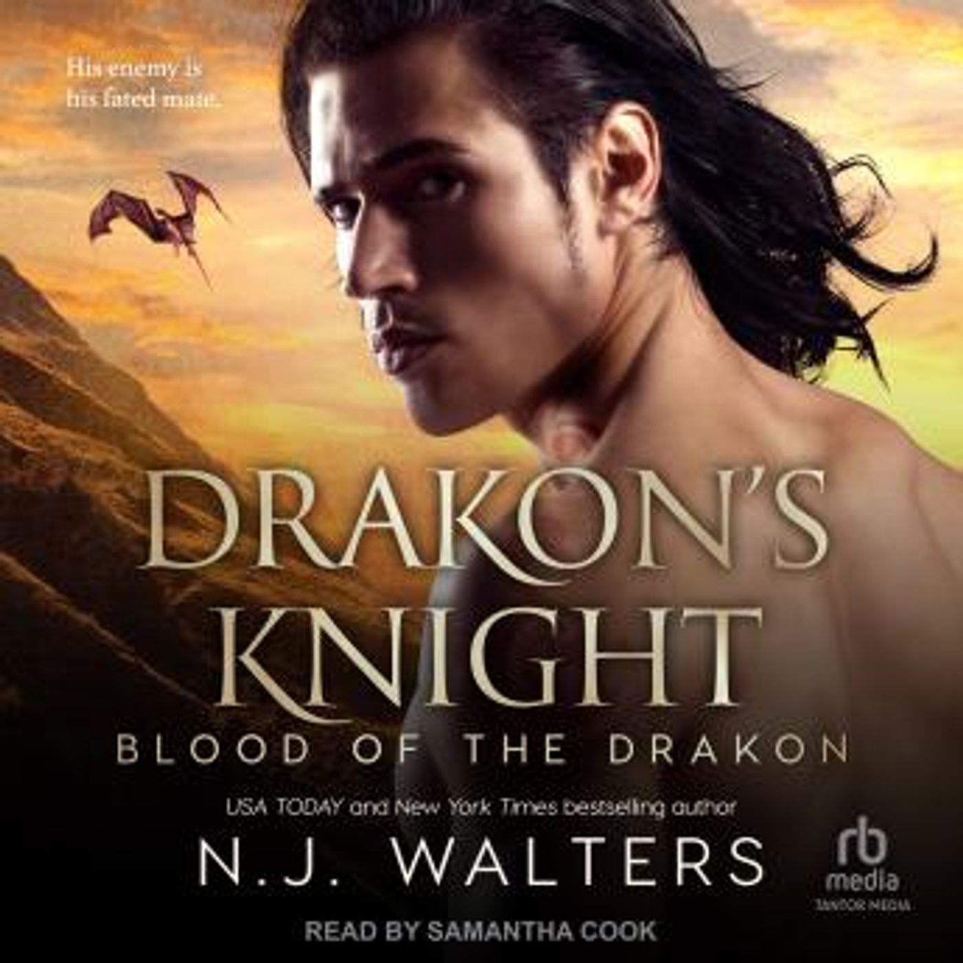 Drakon’s Knight by N.J. Walters episode artwork